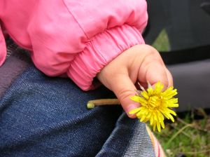 menino_com_flor_na_mao